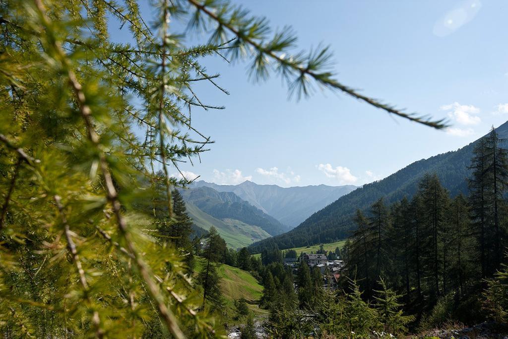 Hotel Des Alpes ซัมเนาน์ ภายนอก รูปภาพ